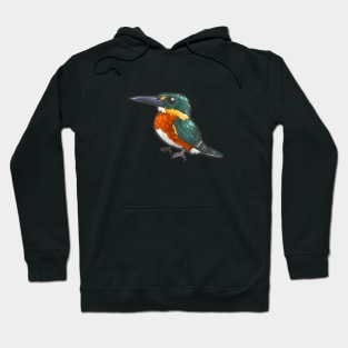 American Pygmy Kingfisher Hoodie